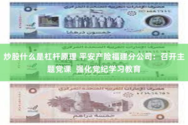 炒股什么是杠杆原理 平安产险福建分公司：召开主题党课  强化党纪学习教育