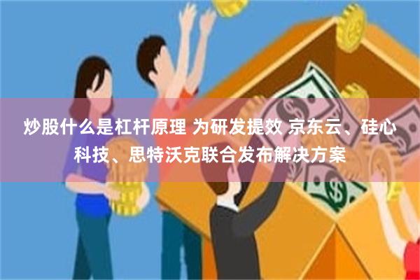 炒股什么是杠杆原理 为研发提效 京东云、硅心科技、思特沃克联合发布解决方案