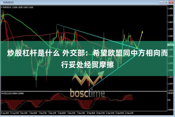 炒股杠杆是什么 外交部：希望欧盟同中方相向而行妥处经贸摩擦