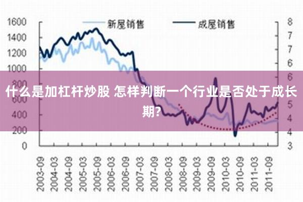 什么是加杠杆炒股 怎样判断一个行业是否处于成长期?