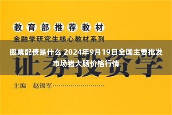 股票配债是什么 2024年9月19日全国主要批发市场猪大肠价格行情