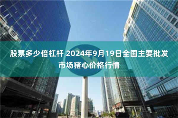 股票多少倍杠杆 2024年9月19日全国主要批发市场猪心价格行情