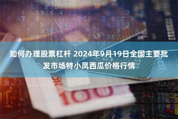 如何办理股票杠杆 2024年9月19日全国主要批发市场特小凤西瓜价格行情