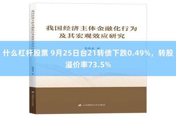 什么杠杆股票 9月25日台21转债下跌0.49%，转股溢价率73.5%