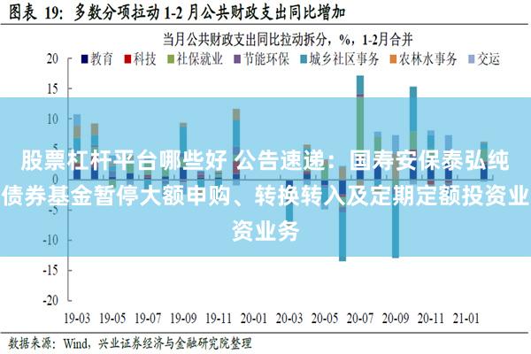 股票杠杆平台哪些好 公告速递：国寿安保泰弘纯债债券基金暂停大额申购、转换转入及定期定额投资业务