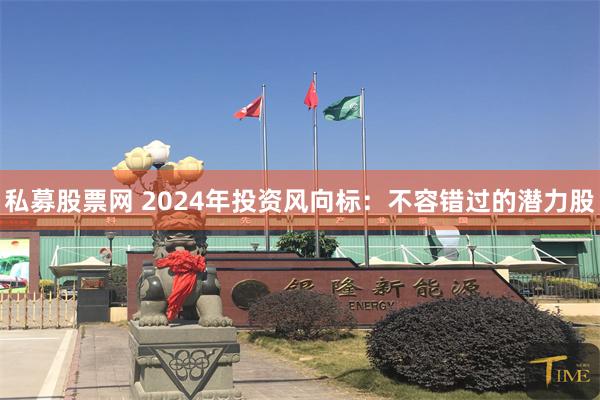 私募股票网 2024年投资风向标：不容错过的潜力股