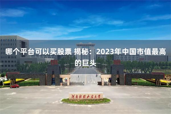 哪个平台可以买股票 揭秘：2023年中国市值最高的巨头