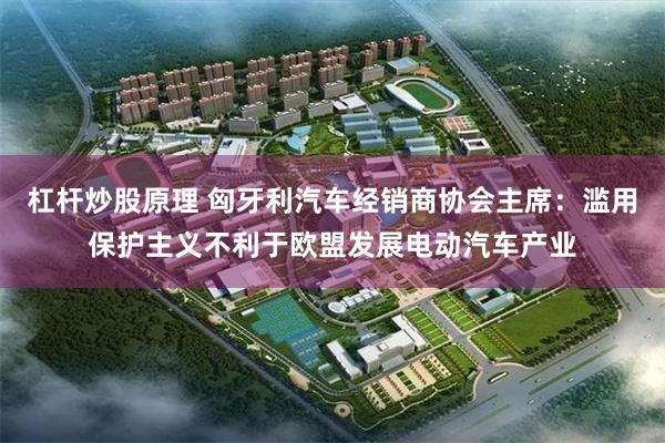 杠杆炒股原理 匈牙利汽车经销商协会主席：滥用保护主义不利于欧盟发展电动汽车产业