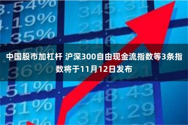 中国股市加杠杆 沪深300自由现金流指数等3条指数将于11月12日发布