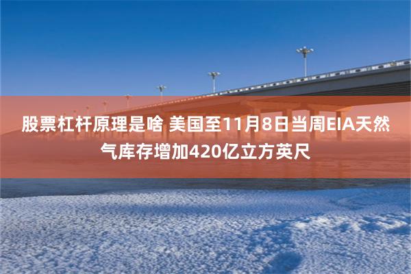 股票杠杆原理是啥 美国至11月8日当周EIA天然气库存增加420亿立方英尺