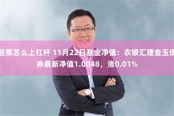 股票怎么上杠杆 11月22日基金净值：农银汇理金玉债券最新净值1.0048，涨0.01%