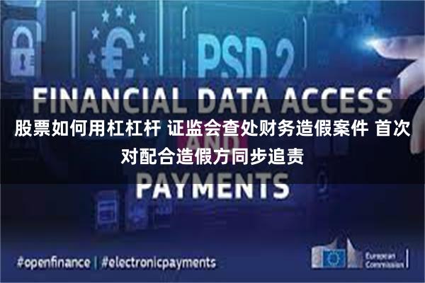 股票如何用杠杠杆 证监会查处财务造假案件 首次对配合造假方同步追责