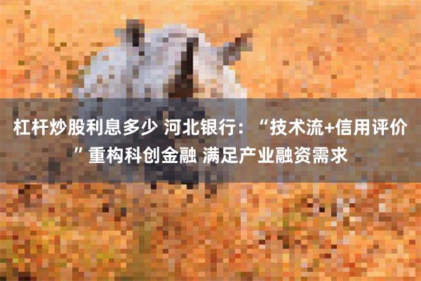 杠杆炒股利息多少 河北银行：“技术流+信用评价”重构科创金融 满足产业融资需求