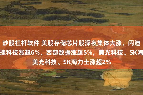 炒股杠杆软件 美股存储芯片股深夜集体大涨，闪迪大涨7%、希捷科技涨超6%、西部数据涨超5%，美光科技、SK海力士涨超2%
